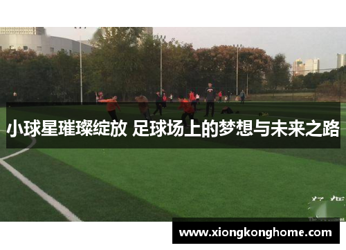 小球星璀璨绽放 足球场上的梦想与未来之路